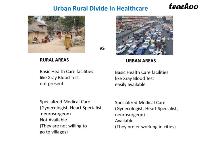 Rural healthcare chinese urban infrastructure statistics responsibility area figure differences national reality collective bureau adapted source